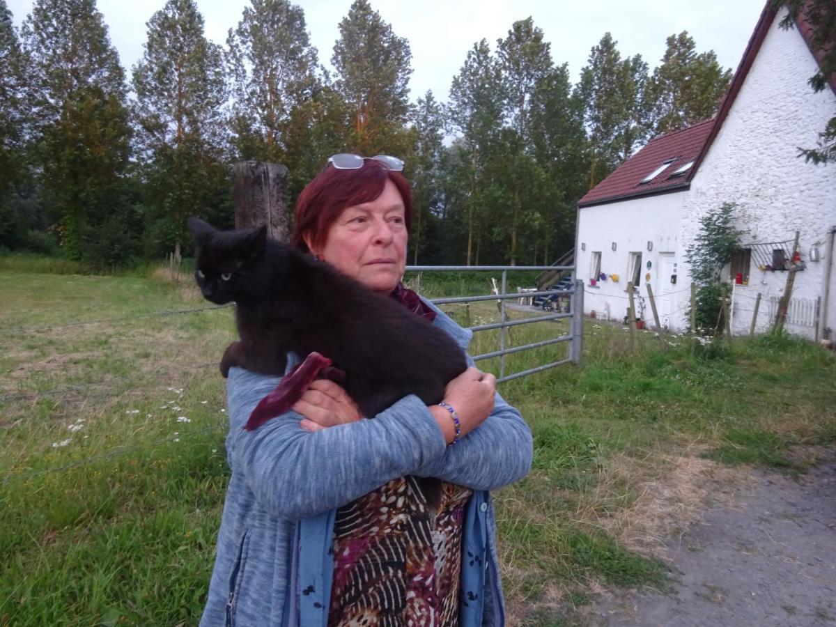 Apartmán Ferme Lenfant Rez Ville-Pommeroeul Exteriér fotografie